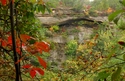 Cave Arch Cave%20Arch (thumbnail)