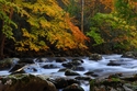 Serenity (thumbnail)