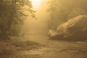 Mistical Morning Mistical%20Morning (thumbnail)