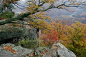 Pinnacles%20No.%204 (thumbnail)