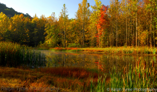 Beaver%20Pond (thumbnail)