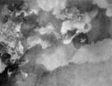 Divine Figure 7 Divine%20Figure%207 (thumbnail)
