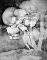 The Maiden The%20Maiden (thumbnail)