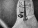 Trumpet Trumpet (thumbnail)