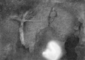 Man of Science, Man of God Man%20of%20Science%2C%20Man%20of%20God (thumbnail)