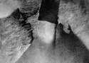 Past Through and Beyond Past%20Through%20and%20Beyond (thumbnail)