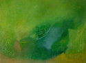 The Rain Forest The%20Rain%20Forest (thumbnail)