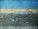 Soft Sea Soft%20Sea (thumbnail)