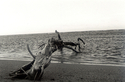 Yves Gabriel - Photography beach trunk, personal journey, ocean sea - Photography