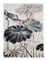 Lotus Mist