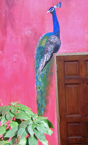 Painting-Animals-Mural Peacock