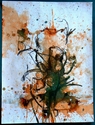 15 x 20 yellow no.7