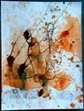 15 x 20 yellow no. 15