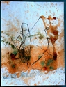 15 x 20 yellow no. 16