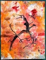 15 x 20 red no. 13
