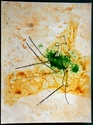 18 x 24 yellow and green no. 6