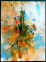 15 x 20 blue no. 12