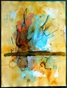 15 x 20 blue no. 13