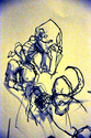 drawing