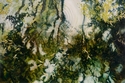 Yvette Shadrock - Promise of Spring