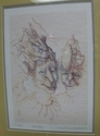 Cheifhans (thumbnail)
