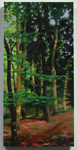 Chiltern%20Woods (large view)
