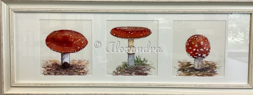 Fly Agaric