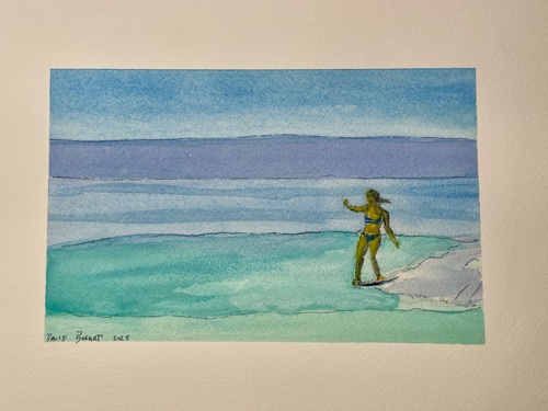 Marine Dream
