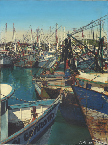 Puerto Panasco Fishing Fleet