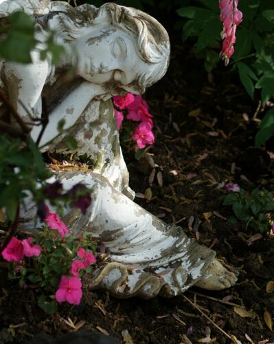 Angel in Garden