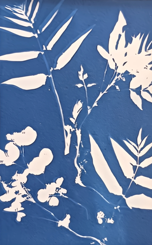 Southern Flora