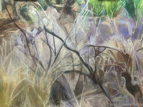 Grasses 1