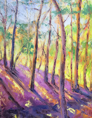 Shadows of Morning
