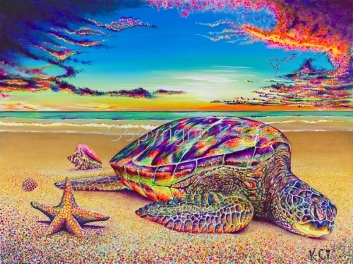 Honu Paradise