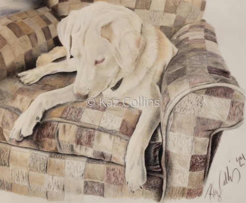 Fawn Labrador Puppy Portrait Original Color Pencil or Print