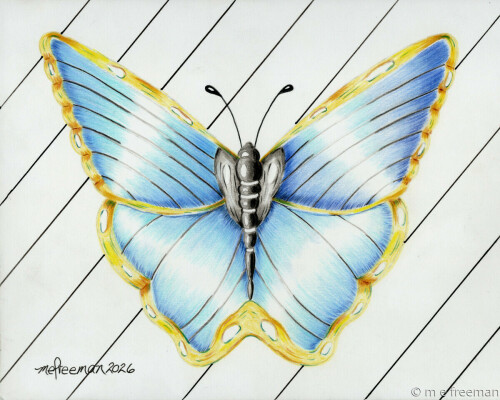 Blue and Gold