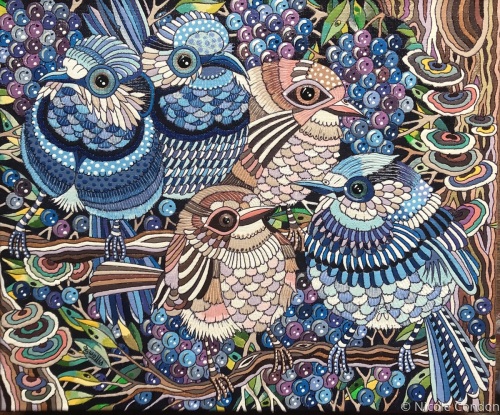 Fairy Wren family