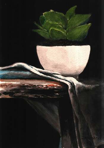 HOUSEPLANT