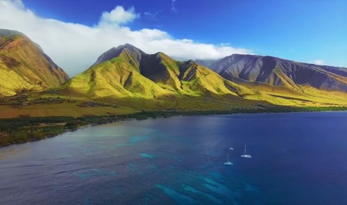 The Stunning Blue Sea. The Fabulous Green Hills. Hawai-USA.