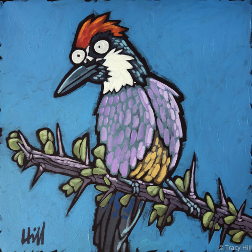 Woodpecker on a Branchj