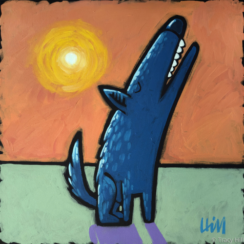 Coyote in the Sun